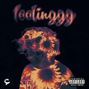 Foolinggg cover