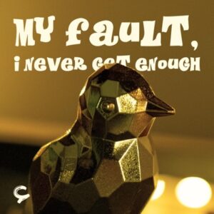 My Fault, I Never Get Enough cover